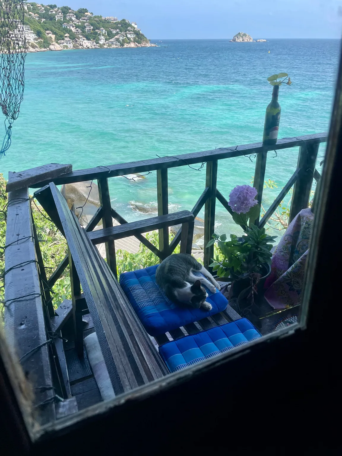 Koh Tao Travel Consulting | Solo Travel Advice Thailand