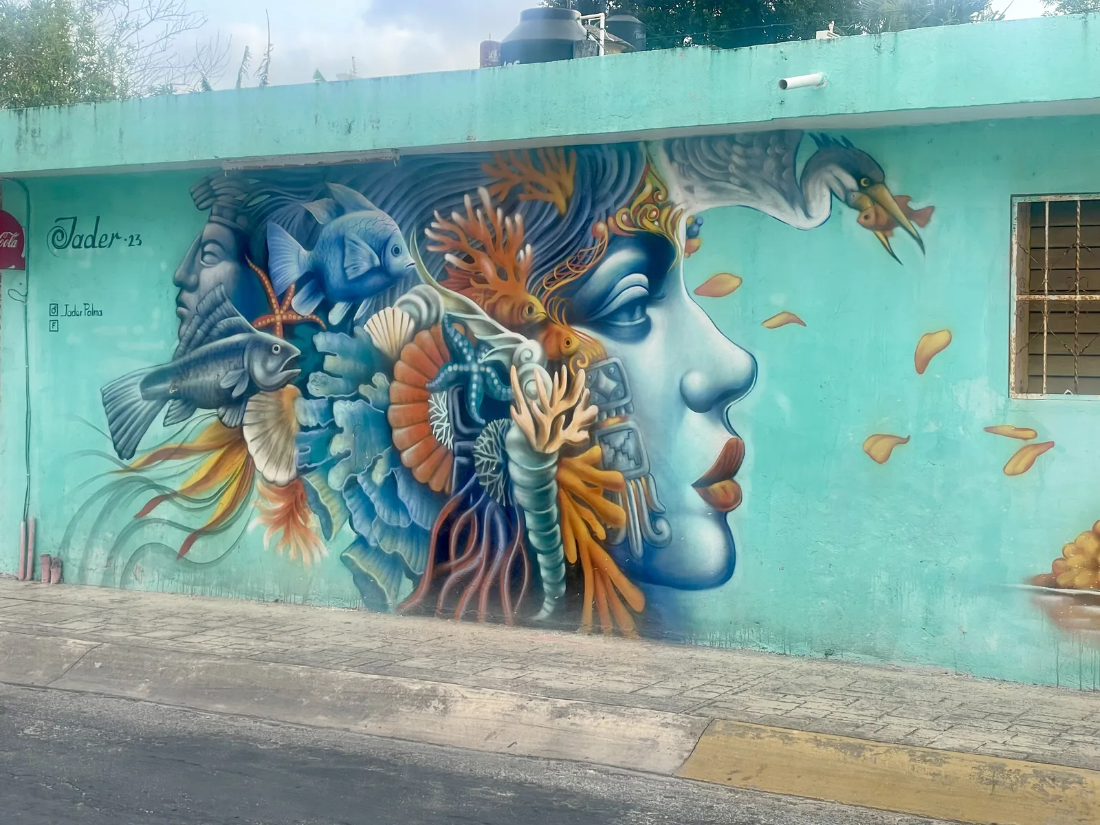 Solo Travel in Cozumel, Mexico- The Good, Bad and THE Ugly