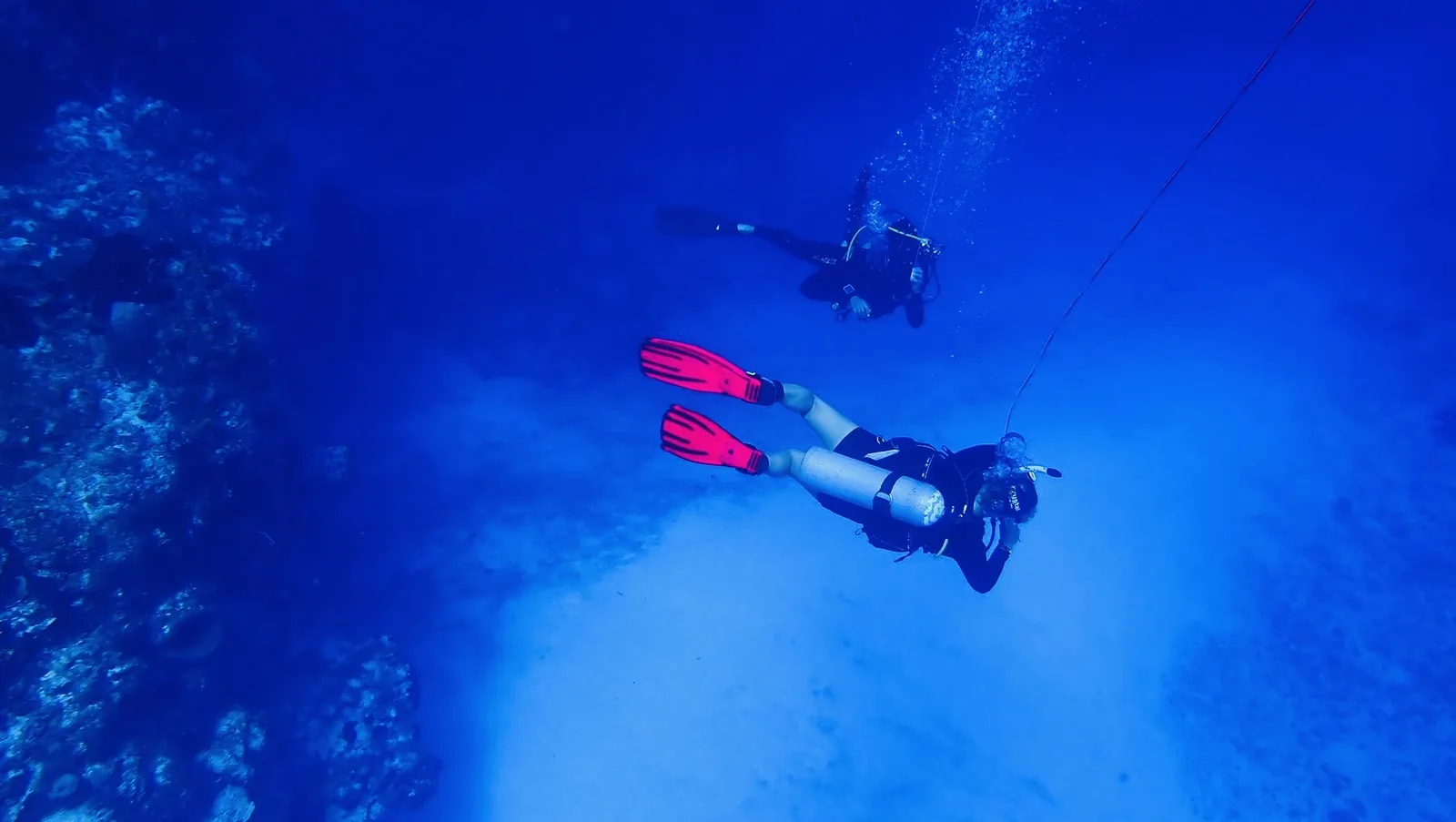 Scuba divers in the deep blue