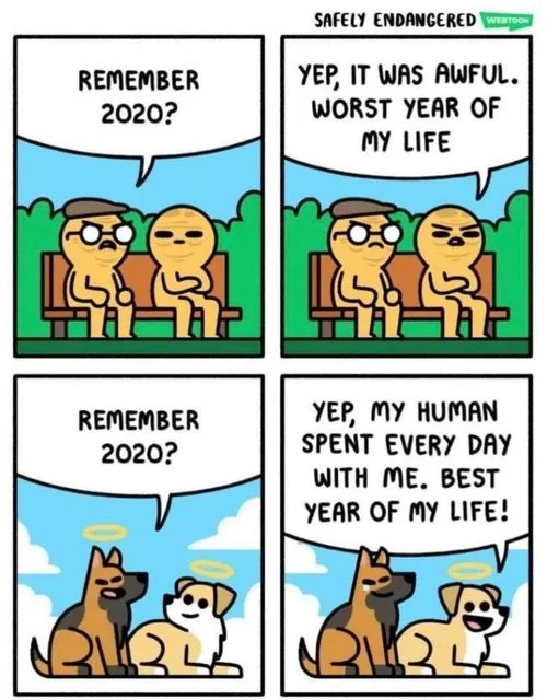 (no alt text)