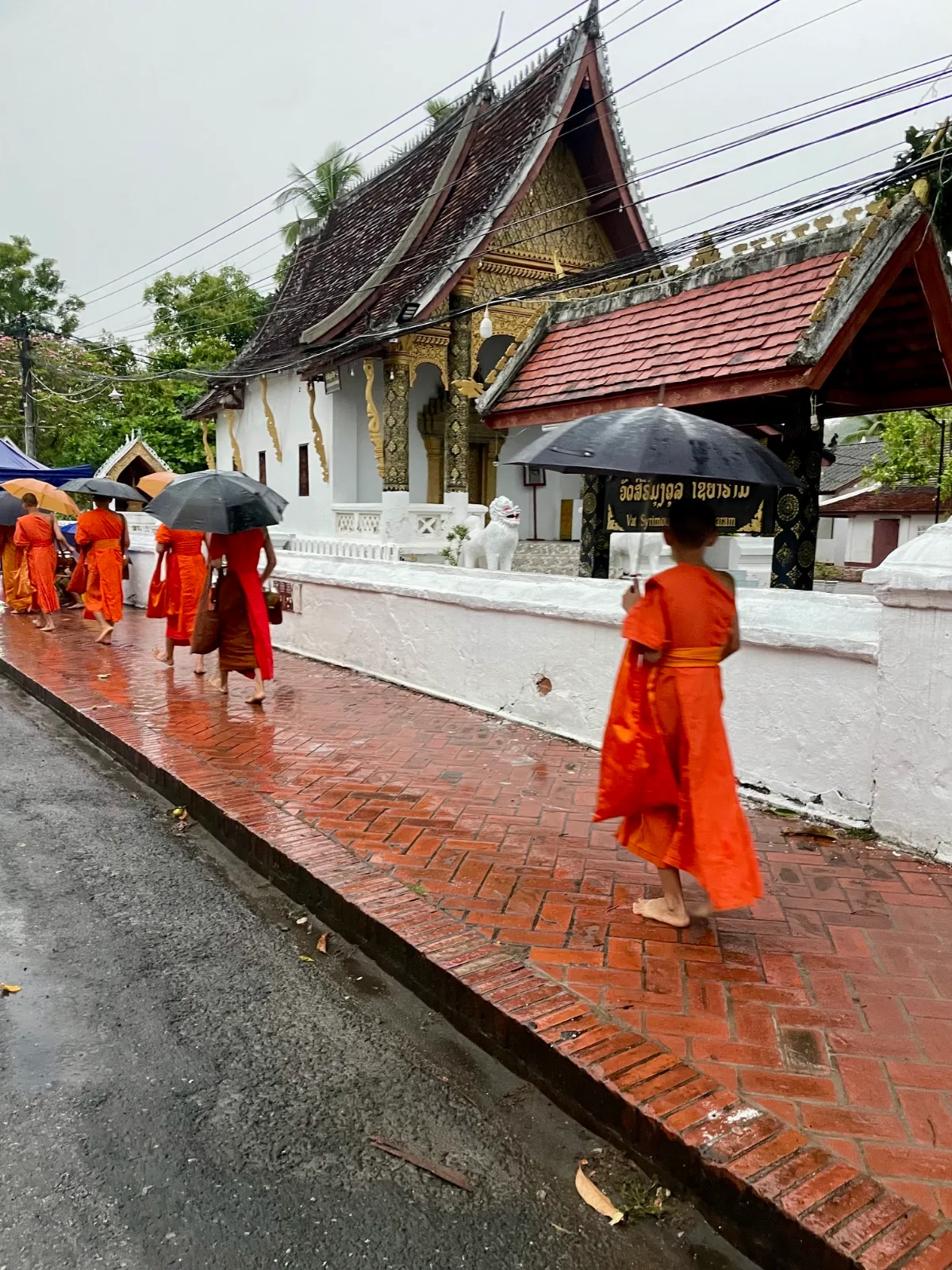 Buddhist monks walking in the rain in the street in Laos in front of a temple